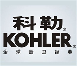 雄大開關(guān)的觸摸開關(guān)質(zhì)量好，耐用